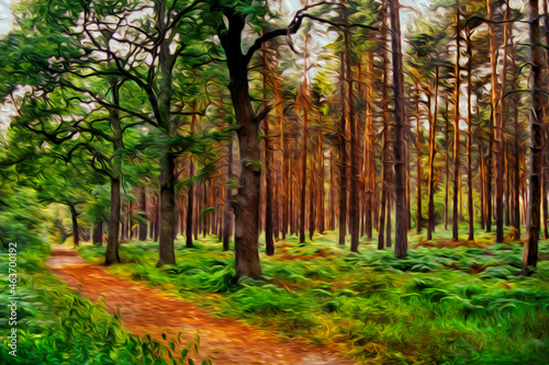 Dirt trail through trees in the Sherwood Forest near Nottingham. A city famous for its link to the Robin Hood legend, in England. Oil paint filter. photo