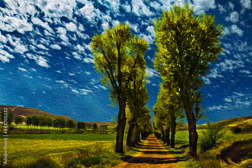 Fototapeta premium Dirt pathway with trees in a flat landscape at the Way of St. James. A pilgrimage route leading to Santiago de Compostela in Spain. Oil paint filter.