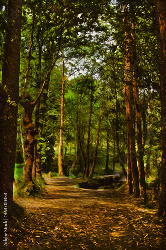 Fototapeta Naklejka Na Ścianę i Meble -  Dirt pathway shaded by tall trees in a grove at the Way of St. James. A pilgrimage route leading to Santiago de Compostela in Spain. Oil paint filter.