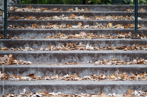 The autumn leaves have fallen and landed on the steps