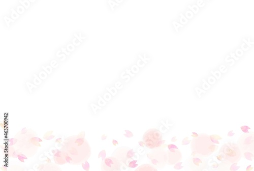 Fototapeta Naklejka Na Ścianę i Meble -  美しい水彩画の桜の花の背景イラスト4