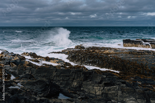 Autumn storm in a cloudy day in the Arctic Ocean, the Barents Sea, Rybachy Peninsula. A severe northern cold landscape with the sea and stones. Northern stormy waves of the Barents Sea.