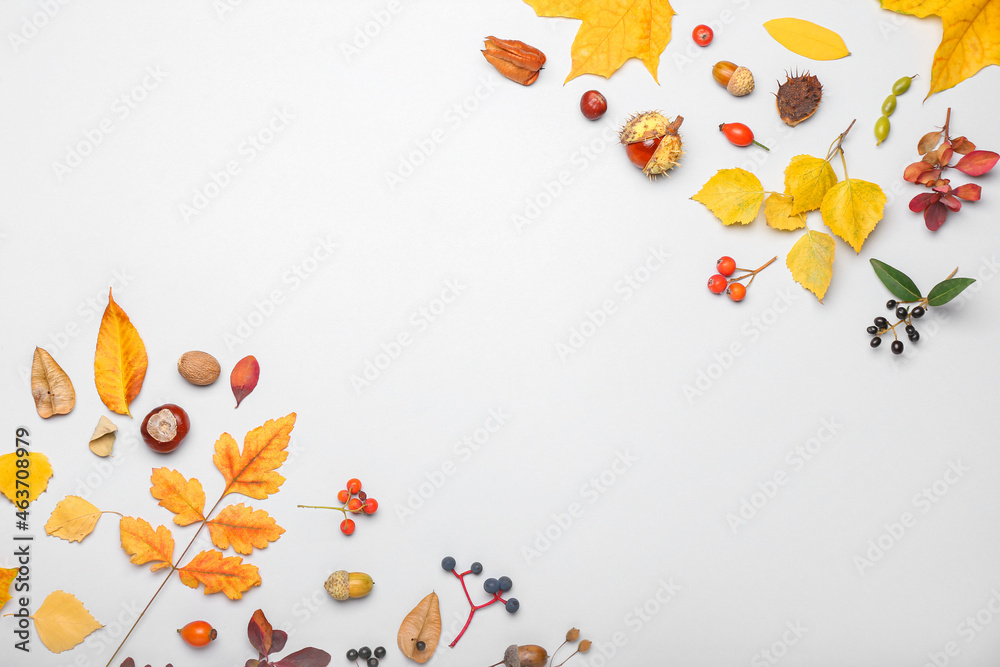 Autumn composition with natural forest decor on white background, closeup Autumn composition with natural forest decor on white background, closeup