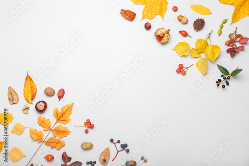 Autumn composition with natural forest decor on white background, closeup