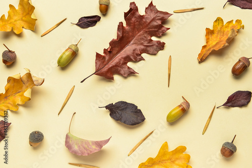 Autumn season flat lay with...
