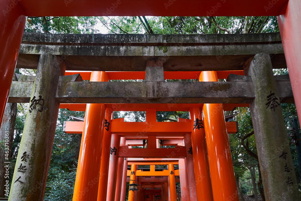 Temple Of Fushimi Inari