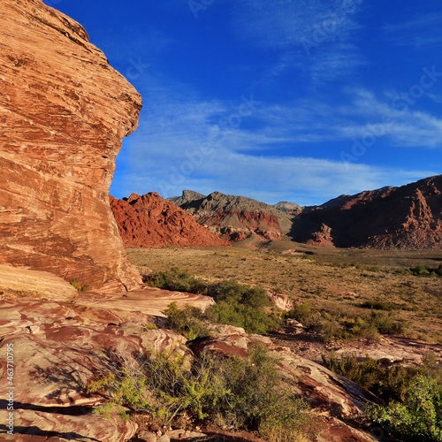 Portrait at Red Rock Canyon