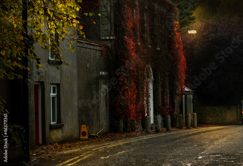 street in the town autumn evening