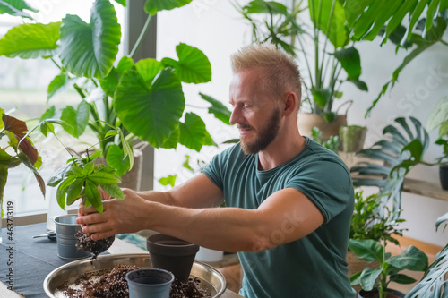 Man Repotting a plant at Home