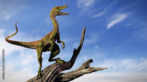 Compsognathus longipes, tiny dinosaur species from the Late Jurassic period, background © dottedyeti