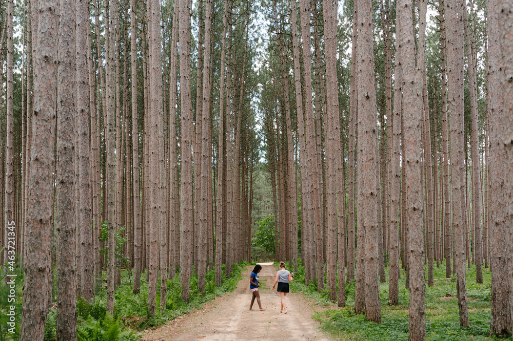 Black and Caucasian friends hanging out on a forest road Black and Caucasian friends hanging out on a forest road