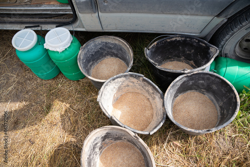 Fodder For Cattle