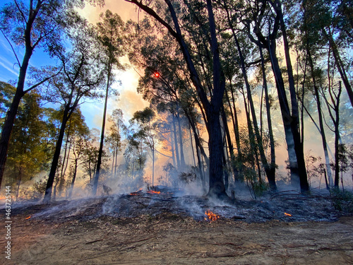 Bushfire Mitigation Burn