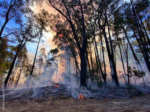 Foto Bushfire Mitigation Burn