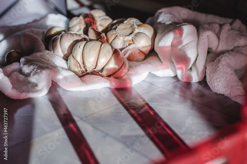 Garlic Cloves on White Background photo