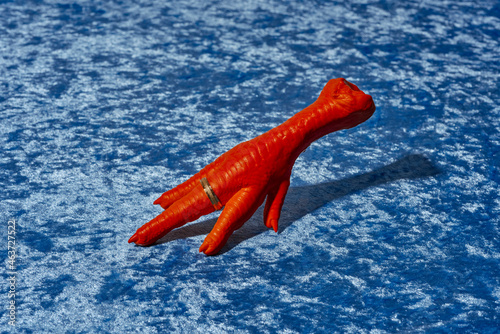 fake chicken foot wearing a golden ring