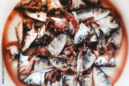 Fish heads on a plate photo