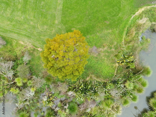 Wetland park drone overhead shot