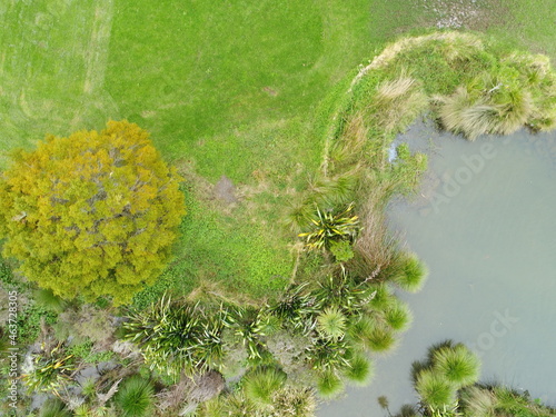 Wetland park drone overhead shot