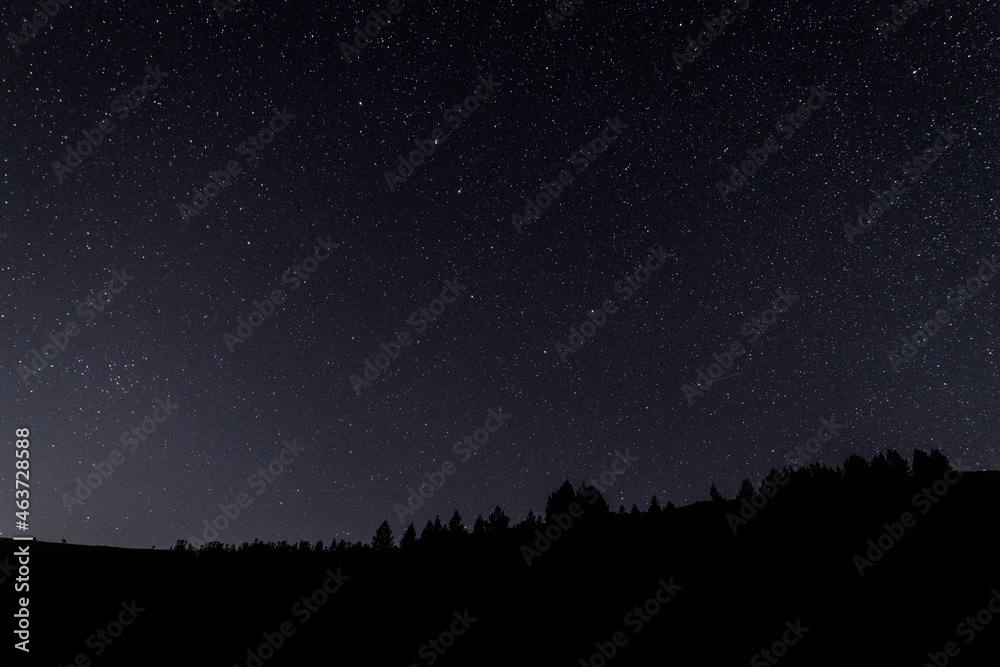 Night landscape under a starry sky Night landscape under a starry sky