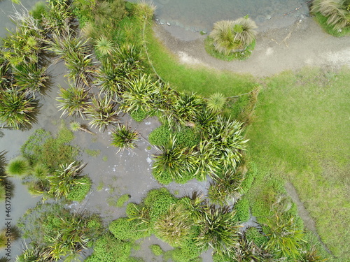 Wetland park drone overhead shot