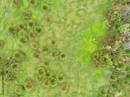 Wetland park drone overhead shot