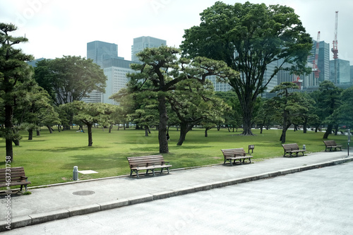 Tokyo Park and city behind