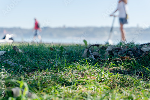 Macro Grass with people behind