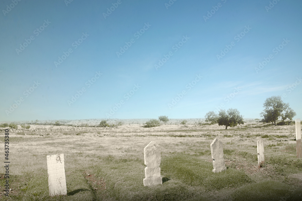 Cemetery with trees and many tombstones