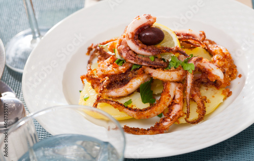 Seafood lunch. Tasty fried squid or octopus tentacles closeup. High quality photo