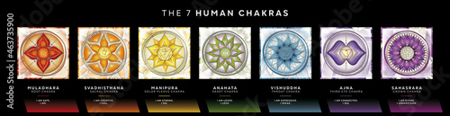 Chakra symbols set with affirmations. Perfect for kinesiology practitioners, massage therapists, reiki healers, yoga studios or your meditation space.