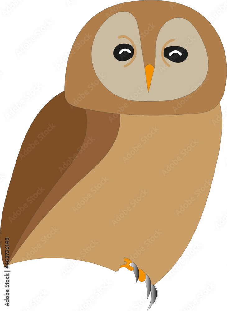 Obraz premium owl on a tree
