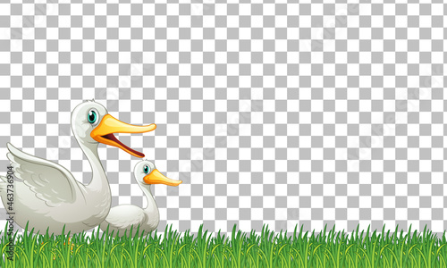 Duck and baby on transparent background