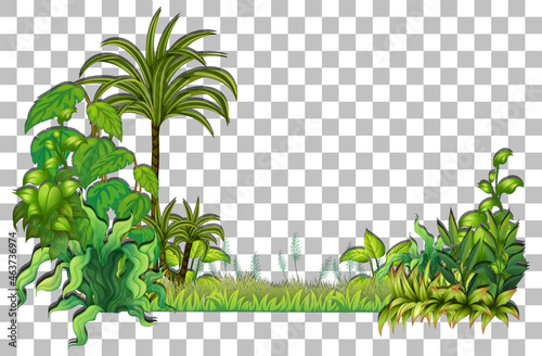 Tropical plant on transparent background