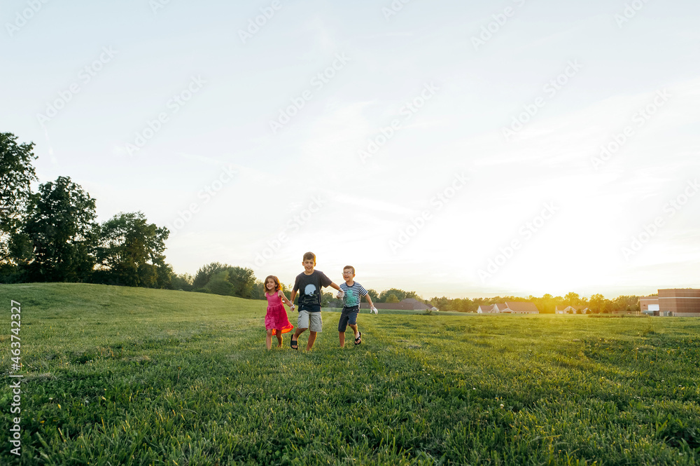 Wide open pasture at sunset. 