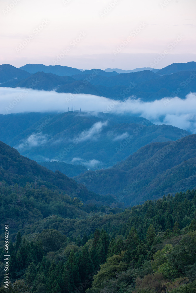 雲海 雲海