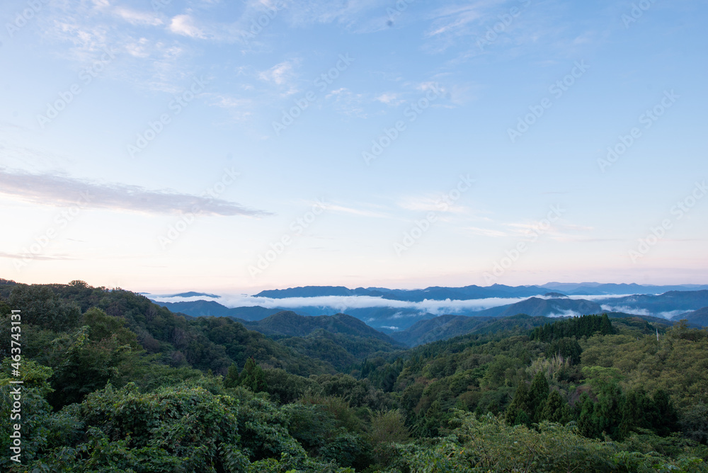 雲海