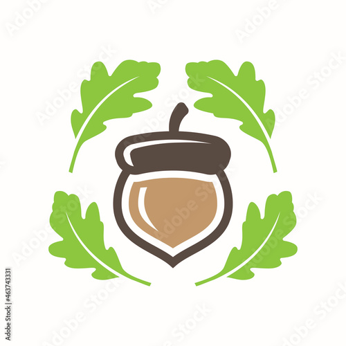 Acorn oak leaf vector logo design element.