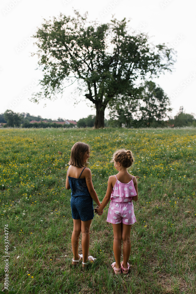 Two girls standing in the field holding hands Two girls standing in the field holding hands