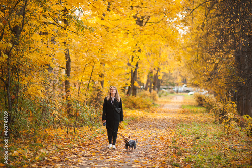 A beautiful woman in a black coat and white sneakers walks through the autumn park with a small Yorkshire Terrier dog. Dog in autumn overalls. Pet care.