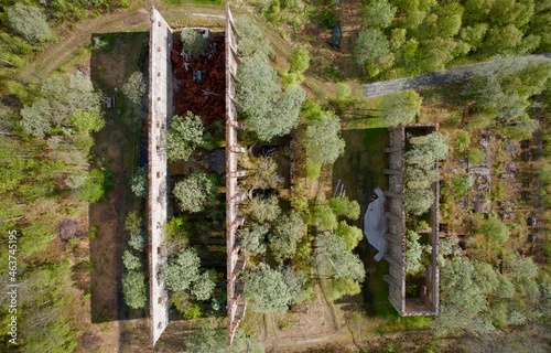 Old factory building ruins overgrown with forest of trees