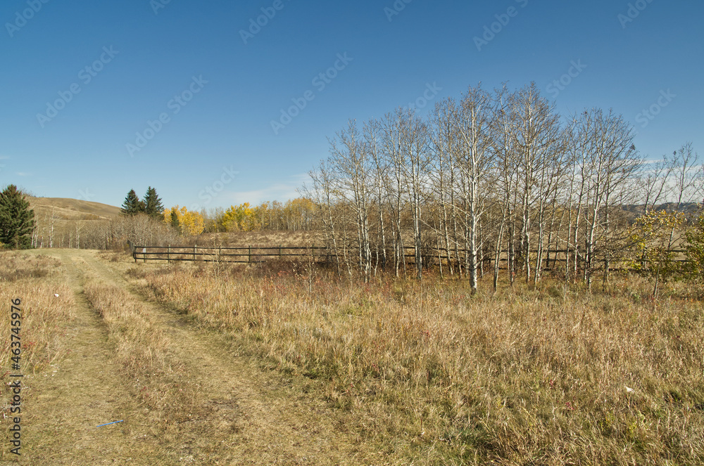 Countryside road in the Autumn Countryside road in the Autumn