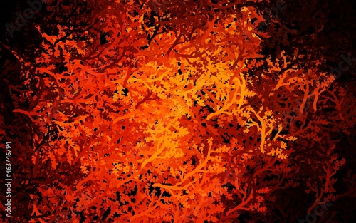 Dark Orange vector natural background with trees, branches.