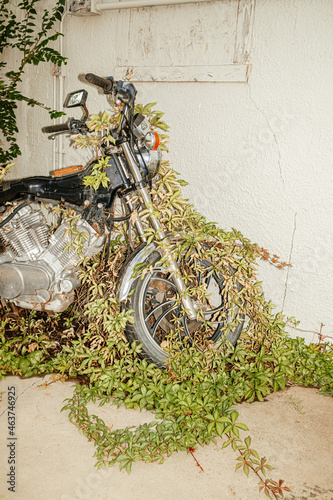 Natural World Reclamation