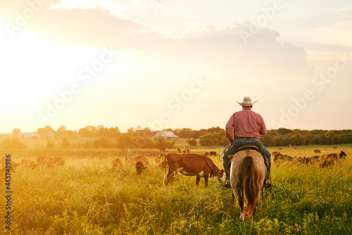 cowboy at  ranch
 photo