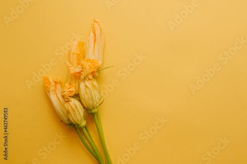 2 zucchini flowers lie on a yellow background