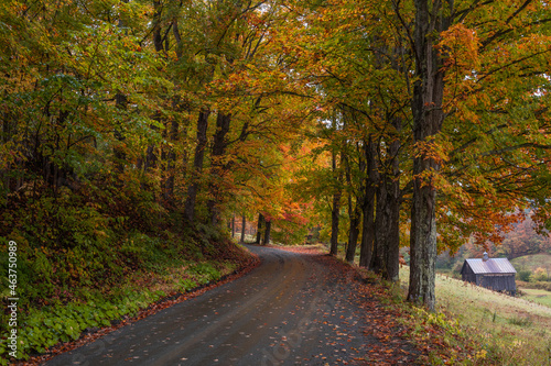Curving Autumn Road In Vermont photo