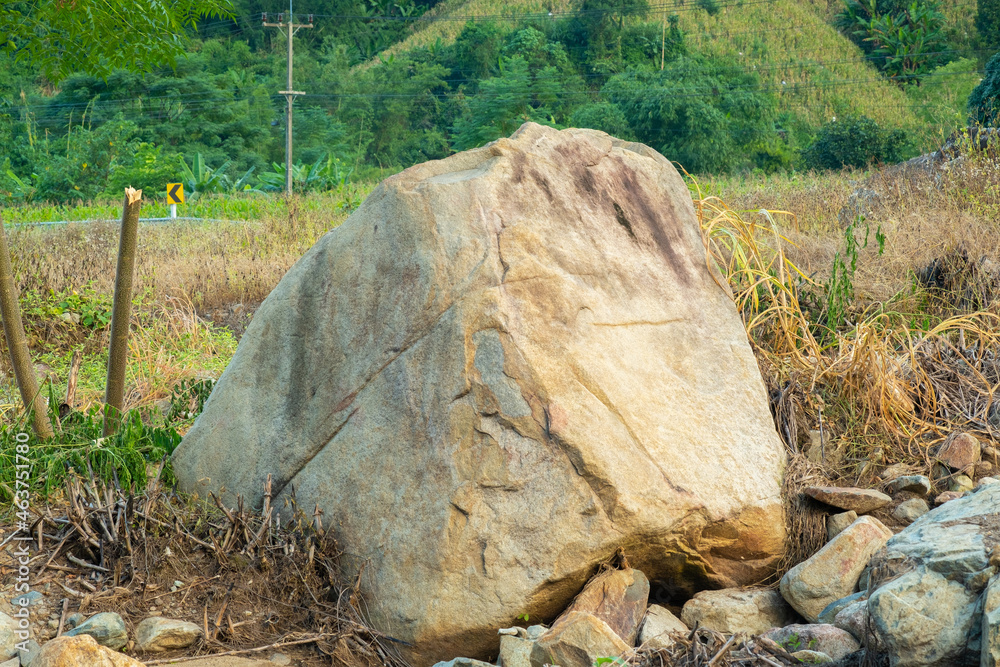 A large cheetah sedimentary rock in nature. A large cheetah sedimentary rock in nature.