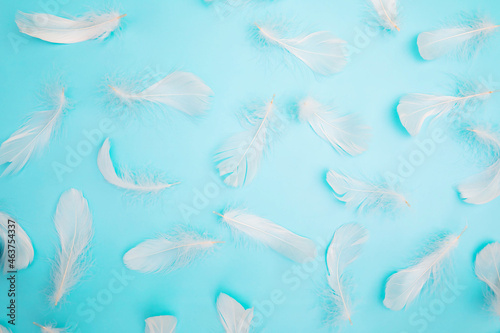 small fluffy white feathers on  blue background   gentle softness concept