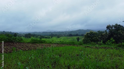 Aerial shot of rice paddy fields in Maharashtra with western ghats background in monsoon. photo